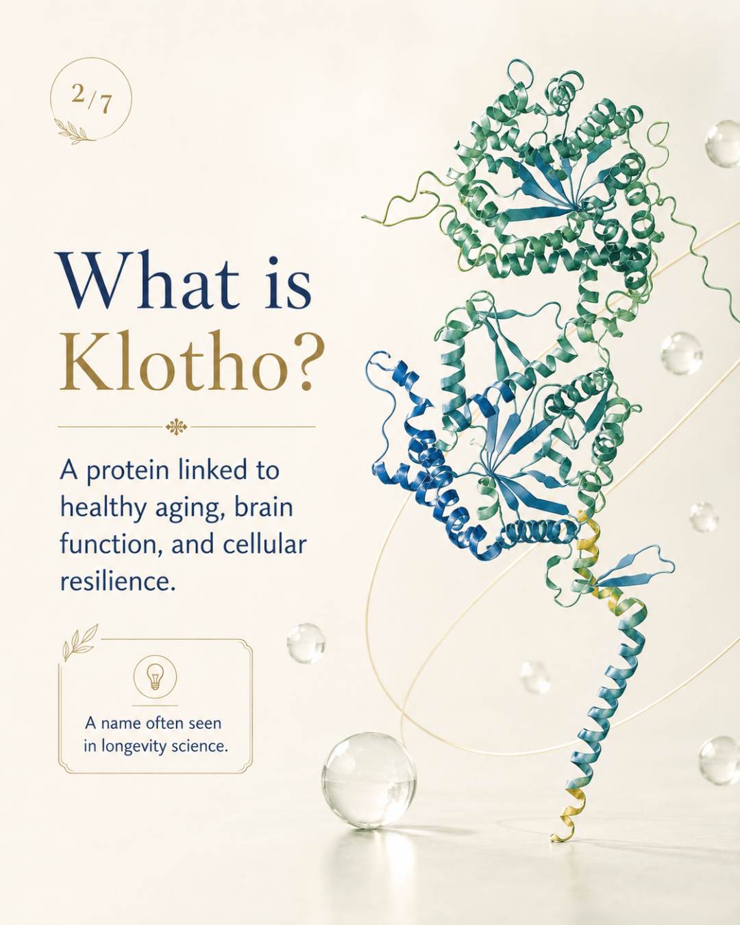 What is Klotho?