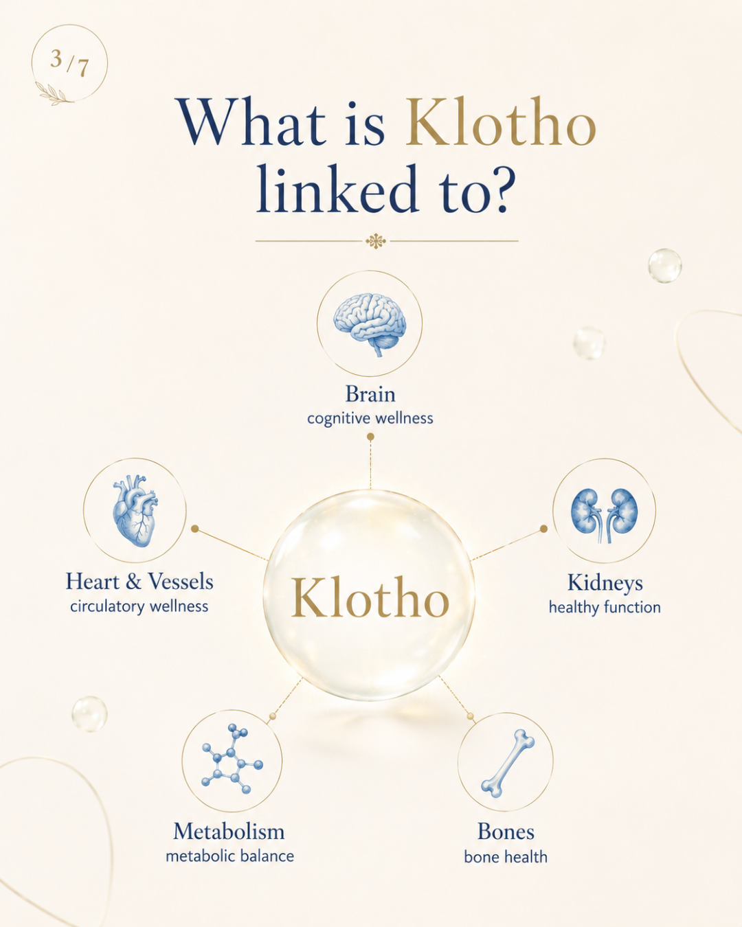 What is Klotho linked to?