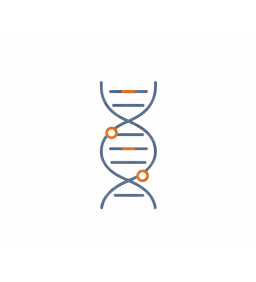 DNA icon