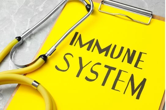 Immune balance and immune normalisation explained by Saisei Australia