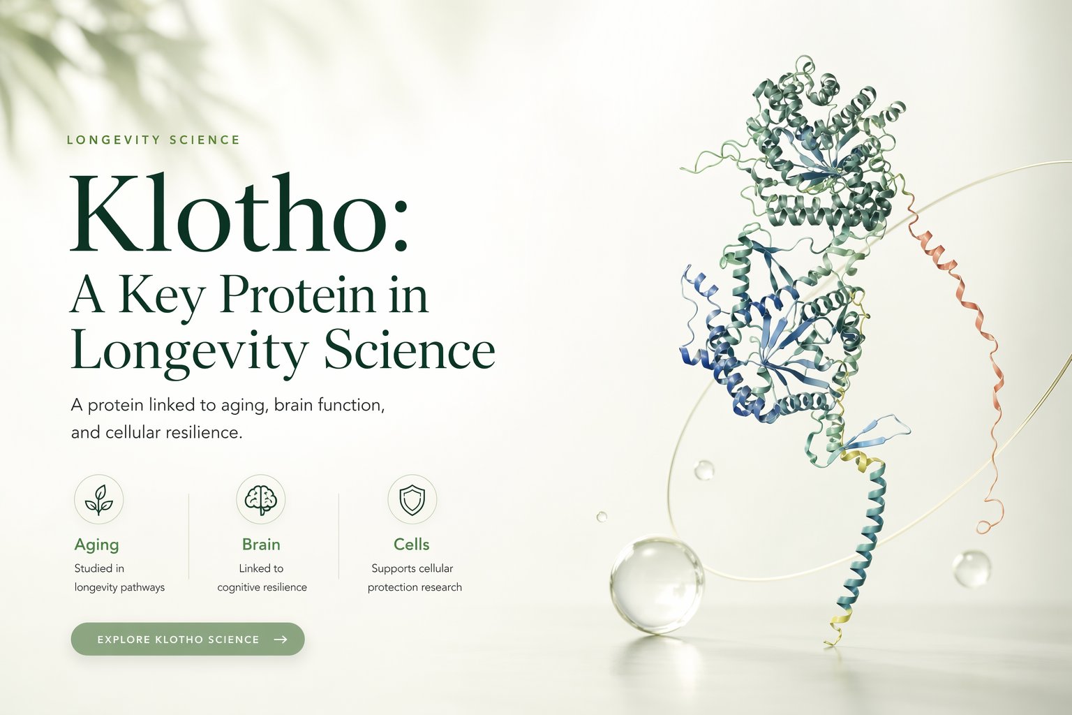 Klotho and healthy aging